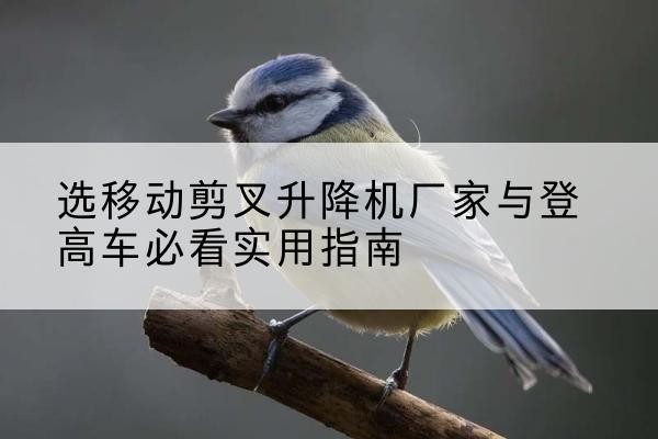 上海电动升降机厂家-选移动剪叉升降机厂家与登高车必看实用指南