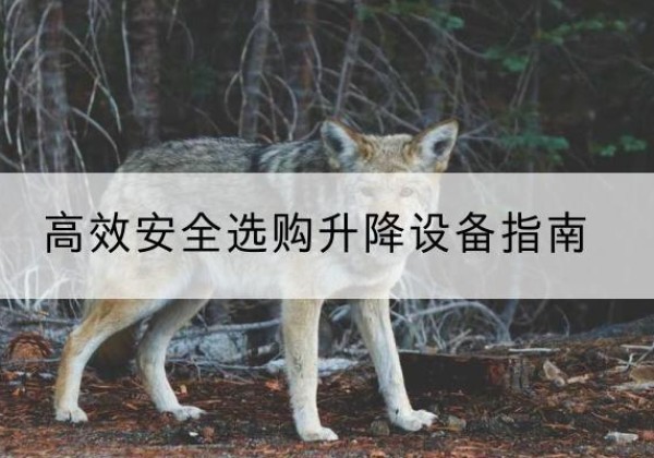 上海升降货梯厂家推荐-*安全选购升降设备指南